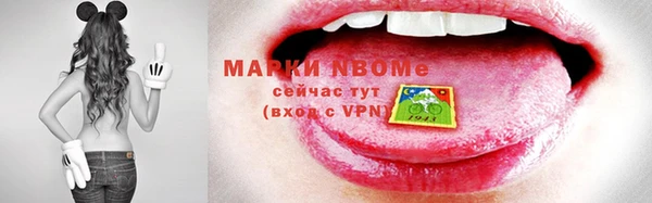 гашик Нея