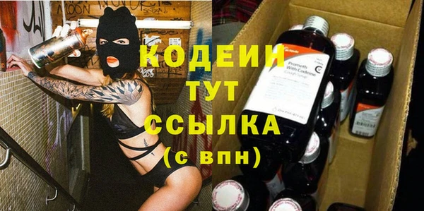 гашик Нея