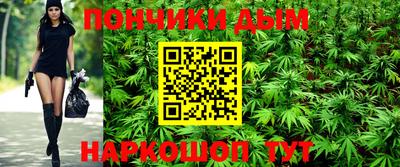 дмт Обь