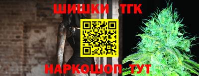 дмт Обь
