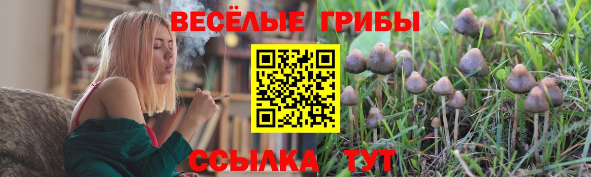 Галлюциногенные грибы Magic Shrooms Торжок